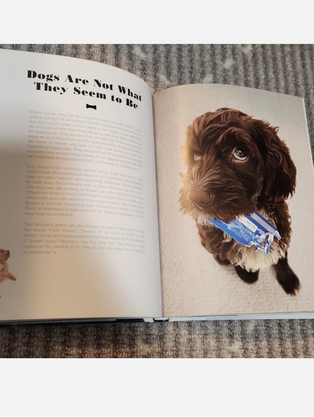 For The Love Of Dogs Book by Katharina von der Leyen - Picture 8 of 17